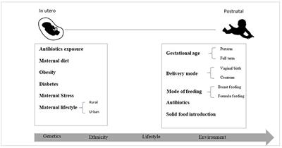 Metagenomics Approaches to Investigate the Neonatal Gut Microbiome